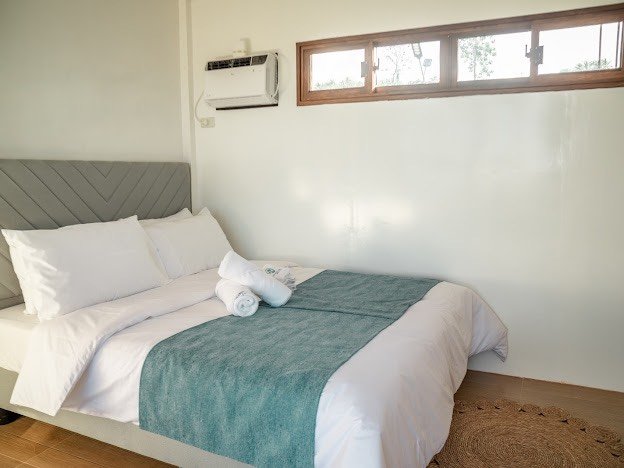 432291355_3636259686642321_8337174467731021397_n